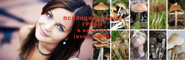 дживик Алексеевка
