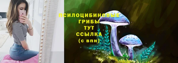 гашик Алзамай