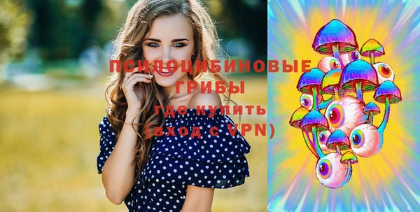 герыч Алексин
