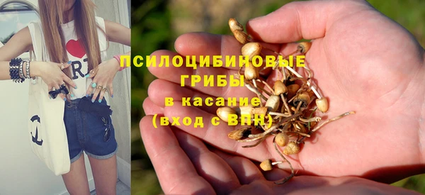 герыч Алексин